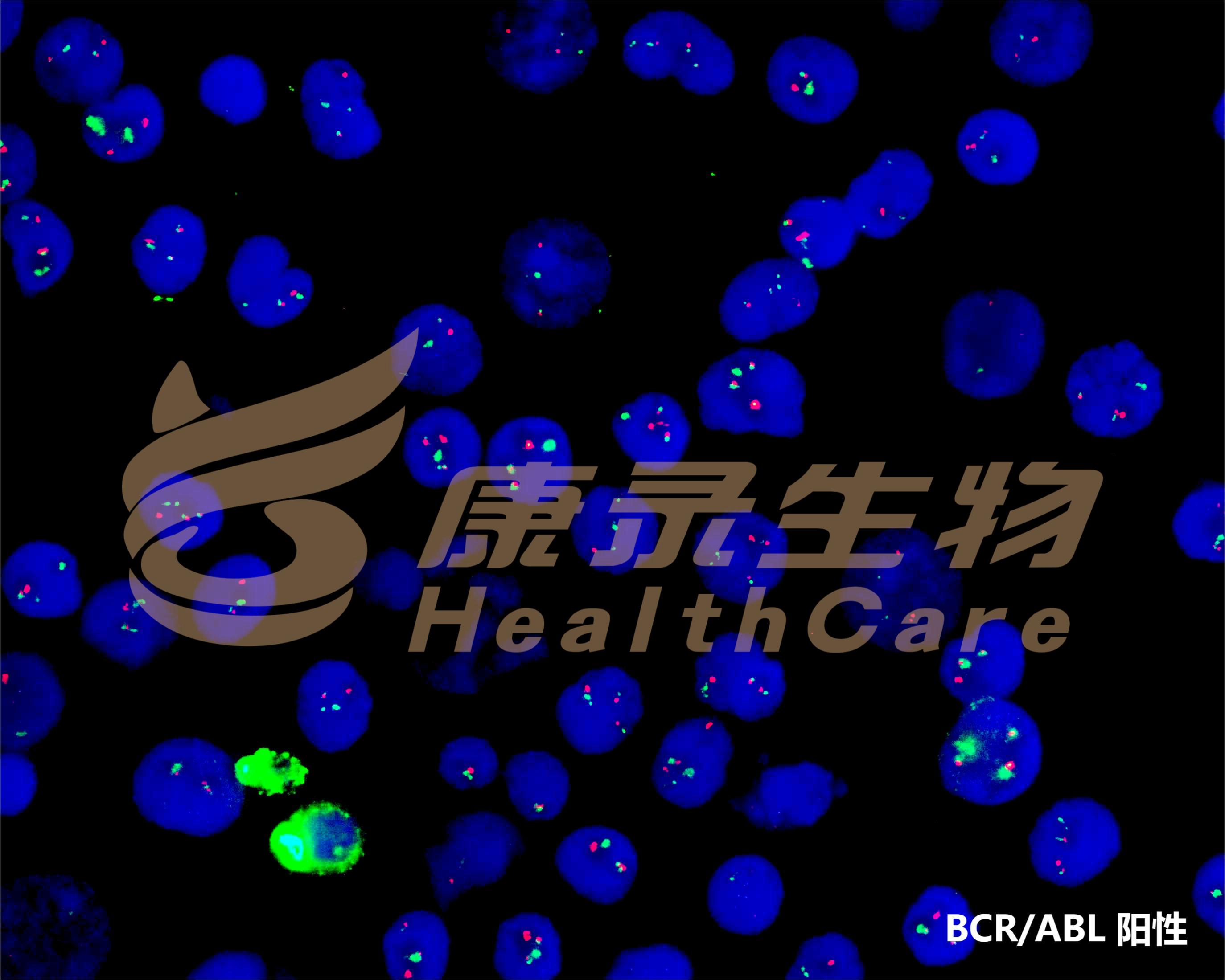 中国·拉斯维加斯(3499·官方认证)网站-Officialwebsite